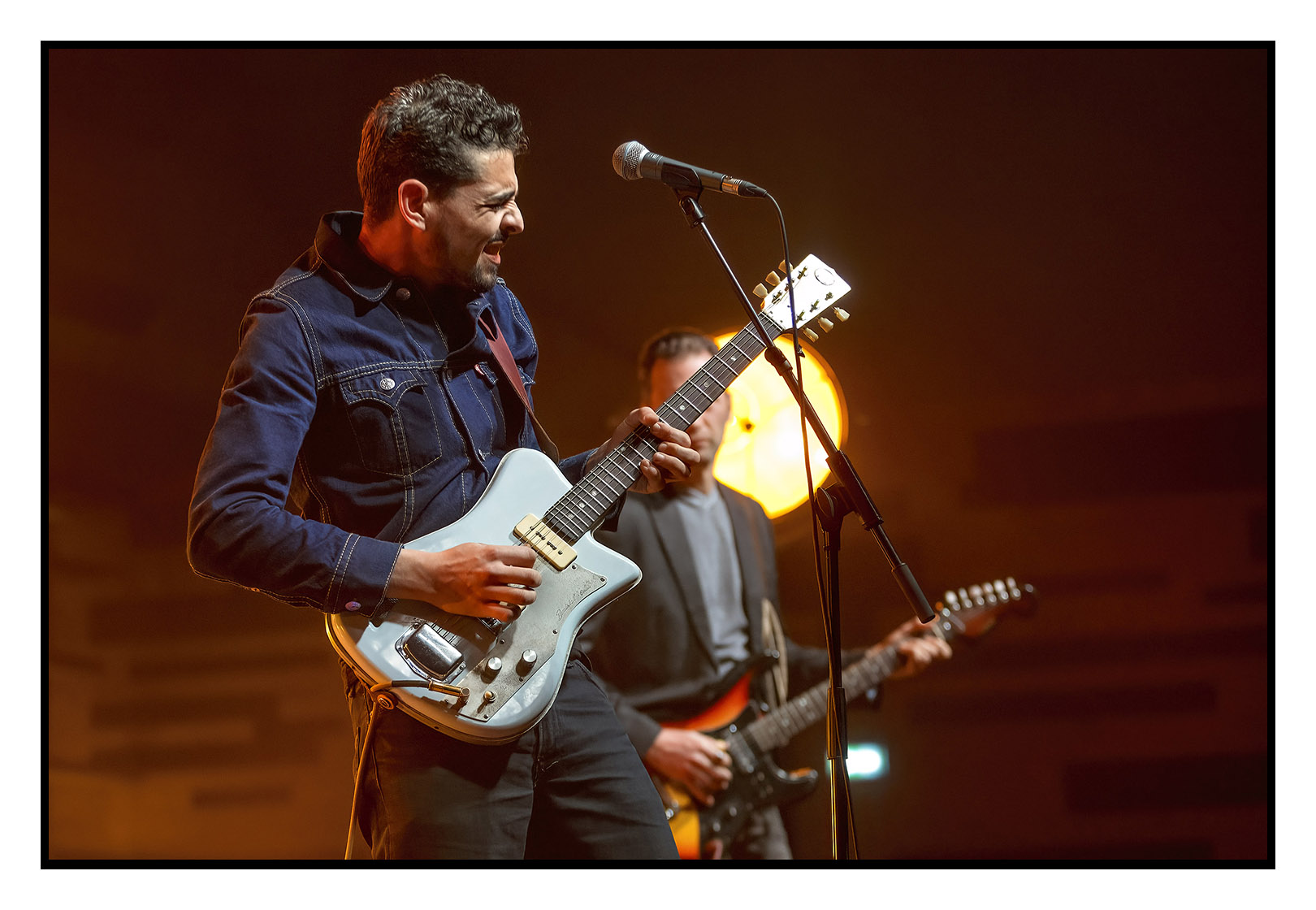 Roanne Blues Festival - Freacky Buds